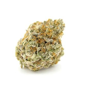 Forbidden Runtz XL Auto (Growers Choice) feminiserade