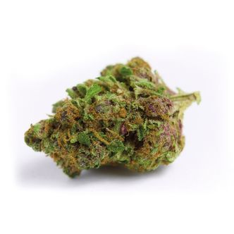 Red Banana Berry XL Auto (Growers Choice) feminiserade