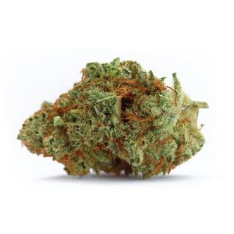 Naranja Biscotti snabbversion (Growers Choice) feminiserade cannabisfr&ouml;n