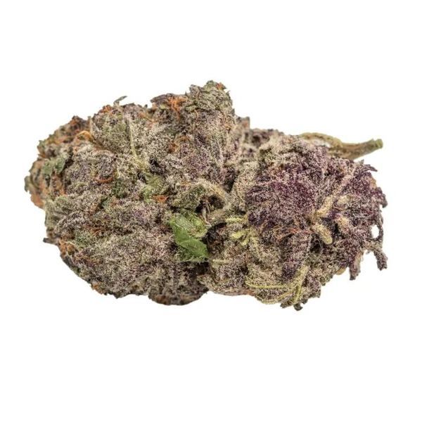 Ultra Violet GMO (Growers Choice) Feminiserade