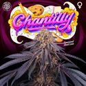 Chantilly (Perfect Tree) Feminiserade