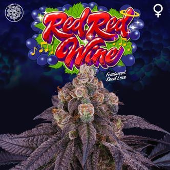 Red Red Wine (Perfect Tree) Feminiserade cannabisfr&ouml;n