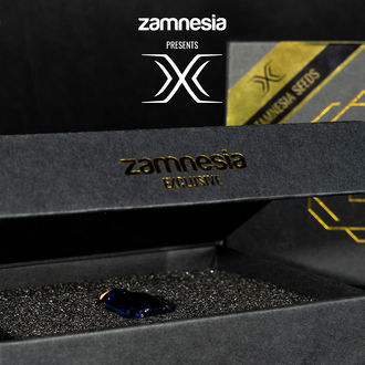 X (Zamnesia Seeds) Feminiserade