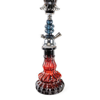 Sidi Shisha i glas 53 cm (Champ Al Malik)
