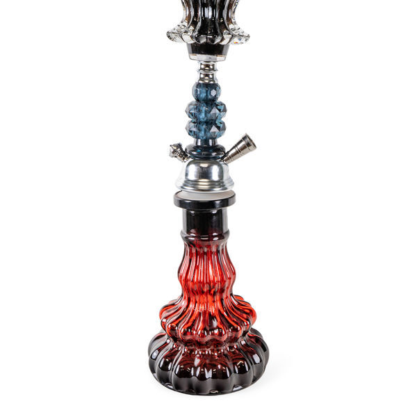 Sidi Shisha i glas 53 cm (Champ Al Malik)