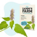 Kattmynta (Nepeta mussinii) frön