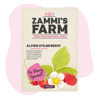 Smultron (Fragaria vesca) frön