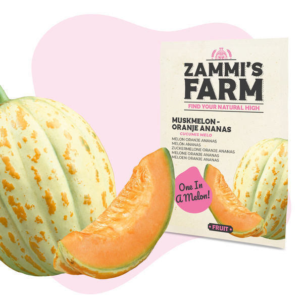 Myskmelon 'Oranje Ananas' (Cucumis melo) frön