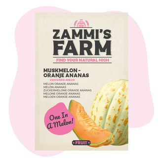 Myskmelon 'Oranje Ananas' (Cucumis melo) frön