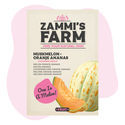 Myskmelon 'Oranje Ananas' (Cucumis melo) frön