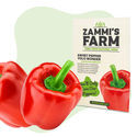 Sötpeppar Yolo Wonder (Capsicum annuum) frön