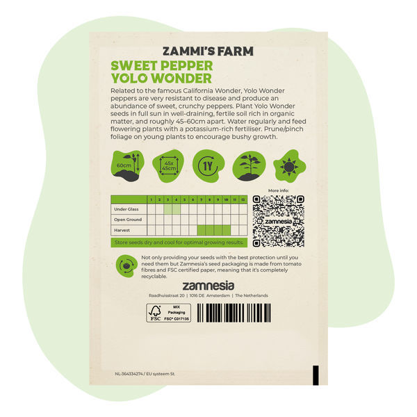 Sötpeppar Yolo Wonder (Capsicum annuum) frön