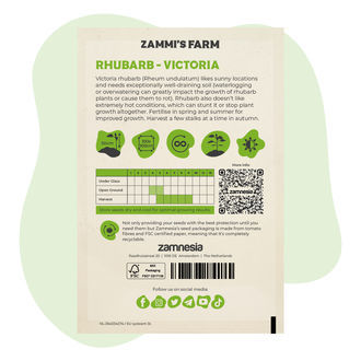 Victoria-rabarber (Rheum undulatum) frön