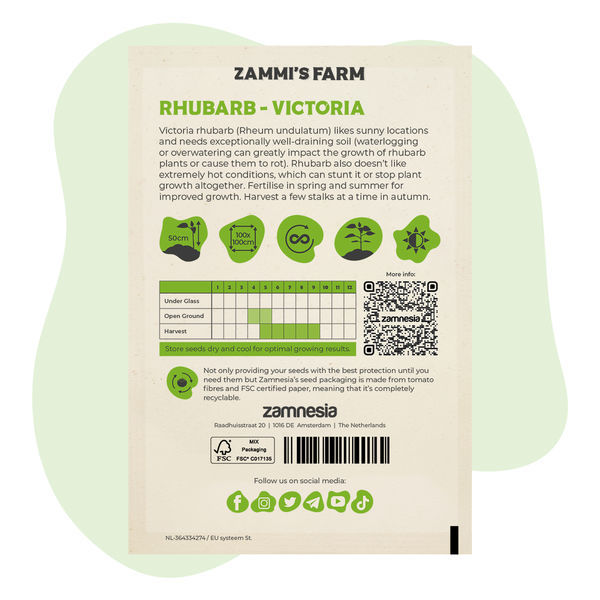 Victoria-rabarber (Rheum undulatum) frön
