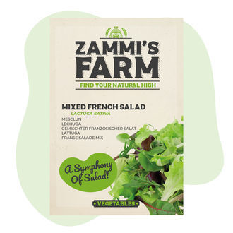 Blandade franska salladsfrön (Lactuca sativa)
