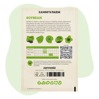 Sojaböna ’Edamame Green Shell’ (Glycine max) frön