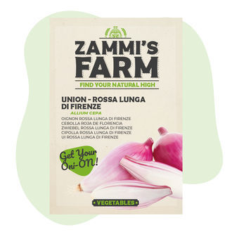 Lökfrön 'Rossa lunga di Firenze' (Allium cepa)