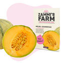 Melon 'Charentais' (Cucumis melo) frön