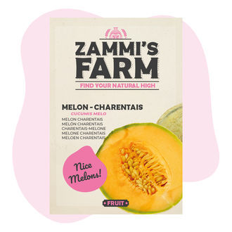 Melon 'Charentais' (Cucumis melo) frön