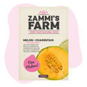 Melon 'Charentais' (Cucumis melo) frön