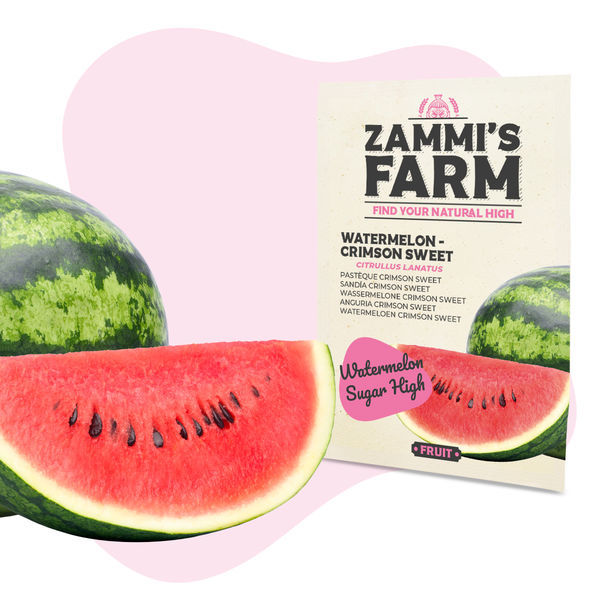 Vattenmelon 'Crimson Sweet' (Citrullus lanatus) Frön