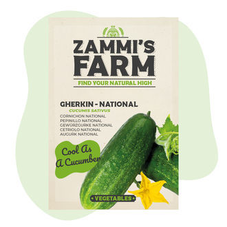 Inläggsgurka 'National' (Cucumis sativus) frön