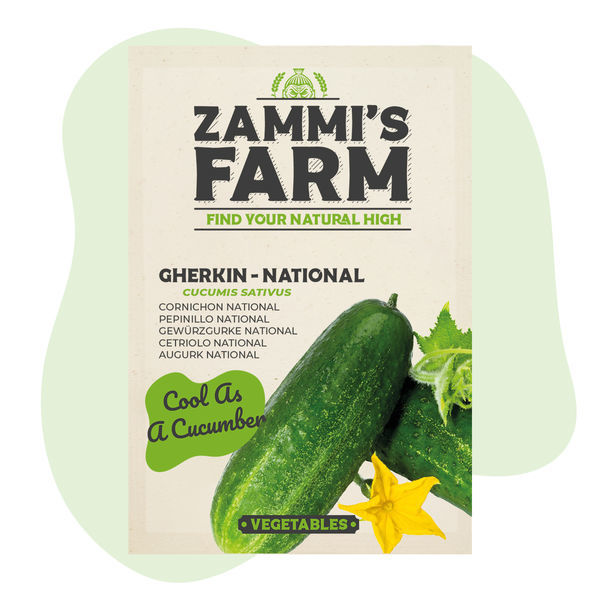 Inläggsgurka 'National' (Cucumis sativus) frön