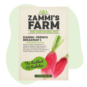 Rädisfrön 'Fransk frukost 3' (Raphanus sativus)