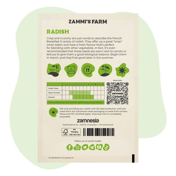 Rädisfrön 'Fransk frukost 3' (Raphanus sativus)
