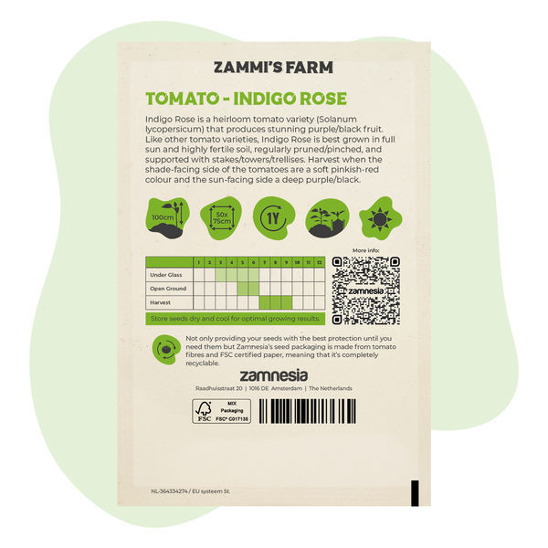 Indigo Rose-tomatfrön (Solanum lycopersicum)