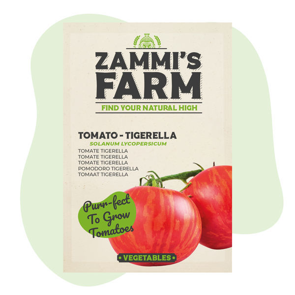 Tigerella-tomatfrön (Solanum lycopersicum)