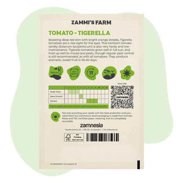 Tigerella-tomatfrön (Solanum lycopersicum)