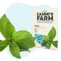 Steviafrön (Stevia rebaudiana)