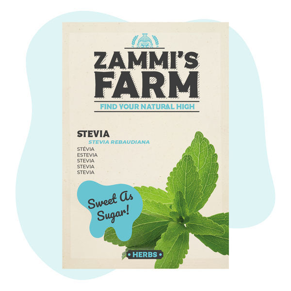 Steviafrön (Stevia rebaudiana)