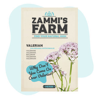 Vänderotsfrön (Valeriana officinalis)