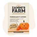 Pumpa Jack O' Lantern (Cucurbita pepo) frön