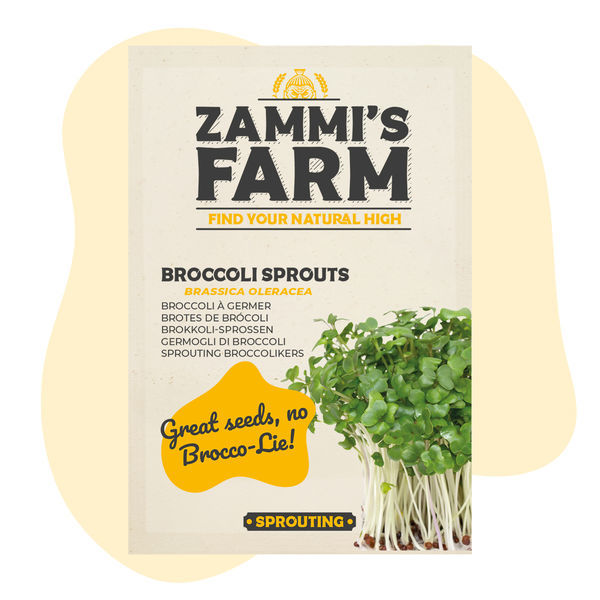 Broccoligroddar (Brassica oleracea) frön