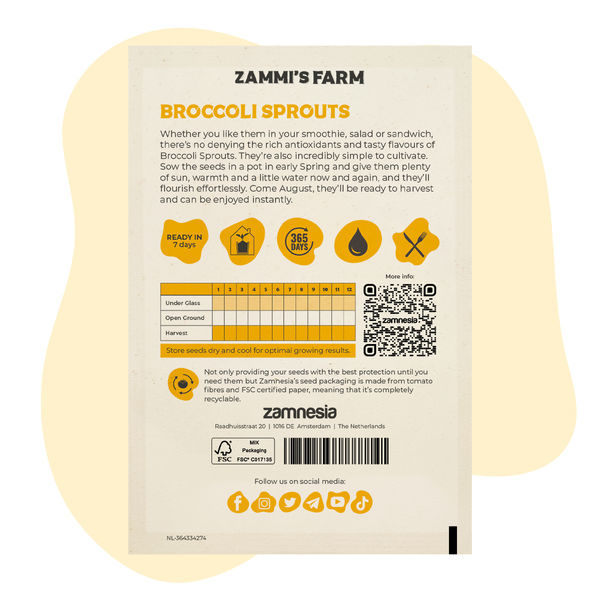 Broccoligroddar (Brassica oleracea) frön