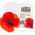 Vallmo 'Single Red' (Papaver rhoeas) frön