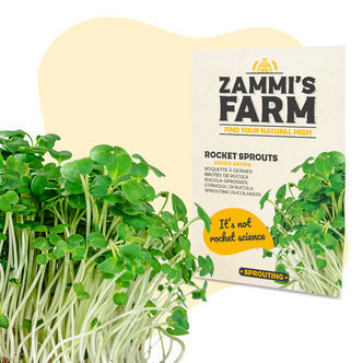 Rucolagroddar (Eruca sativa) fr&ouml;n