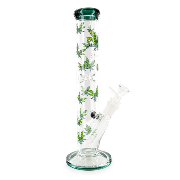 Leaffly cylinderformad isbong (Black Leaf)