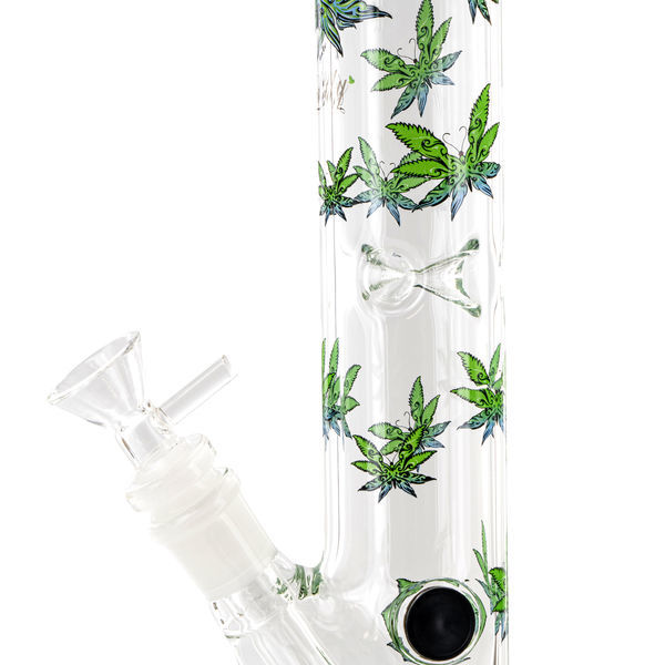 Leaffly cylinderformad isbong (Black Leaf)