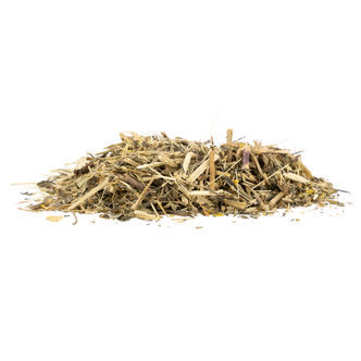 Mexikansk dragon (Tagetes lucida) 20 gram