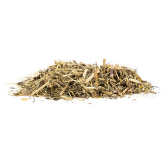 Mexikansk dragon (Tagetes lucida) 20 gram