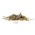 Sinicuichi (Heimia salicifolia) 20 gram