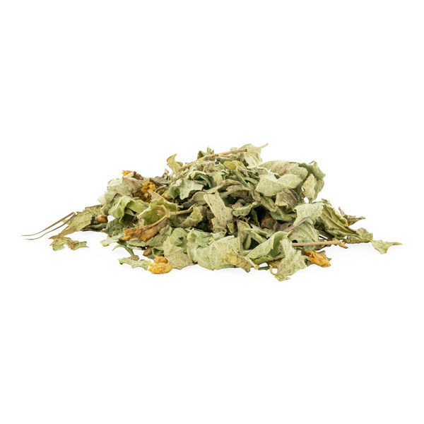 Drömört (Calea zacatechichi) 20 gram