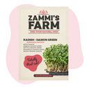 Daikonrädisa mikrogrönt – Daikon Green (Raphanus sativus) frön