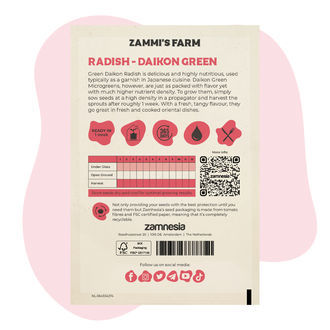 Daikonrädisa mikrogrönt – Daikon Green (Raphanus sativus) frön
