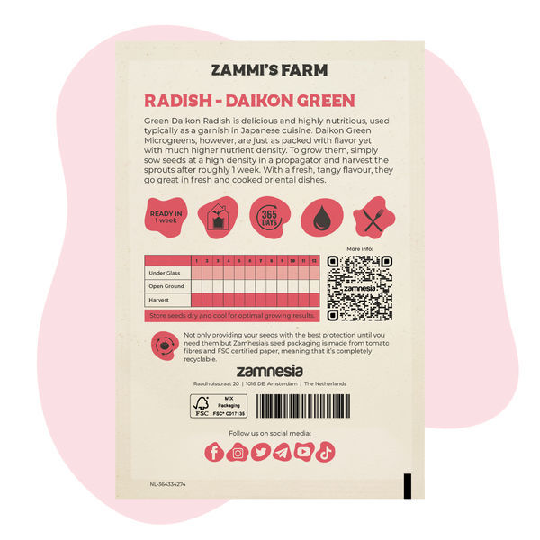 Daikonrädisa mikrogrönt – Daikon Green (Raphanus sativus) frön