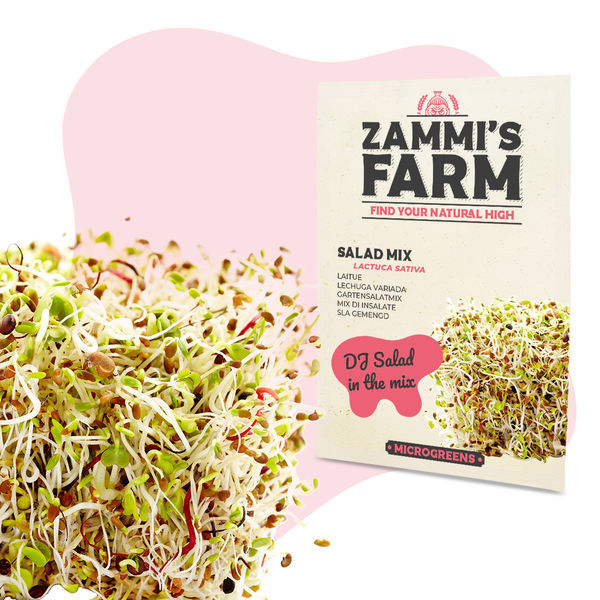 Microgreens salladsmix (Lactuca sativa) frön